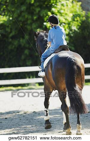 Rear view of a boy horseback riding View Large Photo Image Stock Image - Rear view of a boy horseback riding. Fotosearch