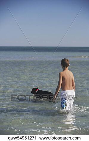 Stock Image - Rear view of a teenage boy and a dog walking in the sea. Fotosearch