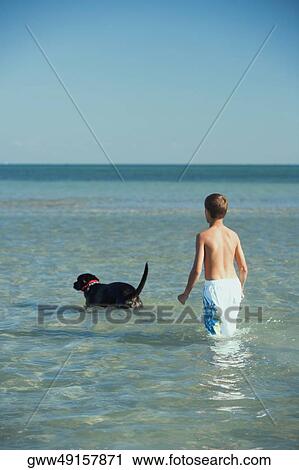 Rear view of a teenage boy standing in water with a dog View Large Photo Image Stock Image - Rear view of a teenage boy standing in water with a dog. Fotosearch