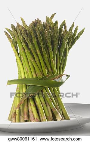 Close-up of a bundle of asparagus in a plate View Large Photo Image Stock Image - Close-up of a bundle of asparagus in a plate. Fotosearch