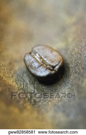 Close-up of a coffee bean View Large Photo Image Stock Image - Close-up of a coffee bean. Fotosearch