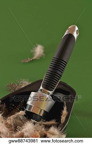 Stock Image - Close-up of a make-up brush in tray full of feathers. Fotosearch