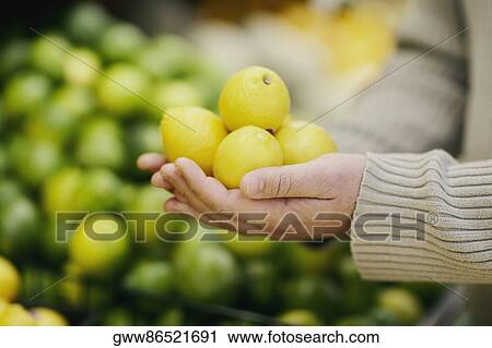 Close-up of a man's hand holding lemons View Large Photo Image Stock Image - Close-up of a man's hand holding lemons. Fotosearch