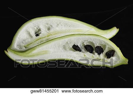 Close-up of a pepino fruit View Large Photo Image Stock Image - Close-up of a pepino fruit. Fotosearch