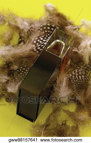Stock Image - Close-up of a plastic box with feathers. Fotosearch