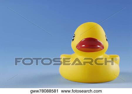 Close-up of a rubber duck View Large Photo Image Stock Image - Close-up of a rubber duck. Fotosearch