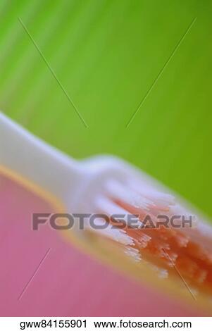 Close-up of a toothbrush View Large Photo Image Stock Image - Close-up of a toothbrush. Fotosearch