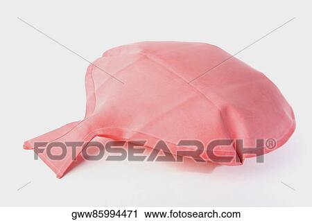 Close-up of a whoopee cushion View Large Photo Image Stock Image - Close-up of a whoopee cushion. Fotosearch