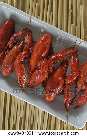 Close-up of crabs in a tray View Large Photo Image Stock Image - Close-up of crabs in a tray. Fotosearch