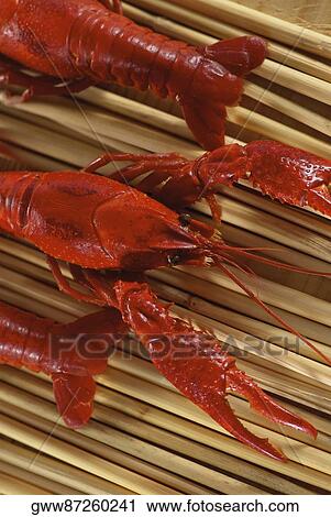Close-up of crabs View Large Photo Image Stock Image - Close-up of crabs. Fotosearch