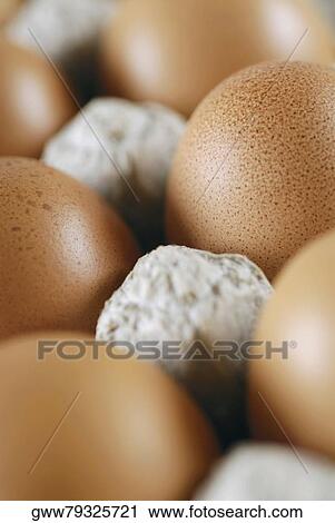 Close-up of eggs in a carton View Large Photo Image Stock Image - Close-up of eggs in a carton. Fotosearch