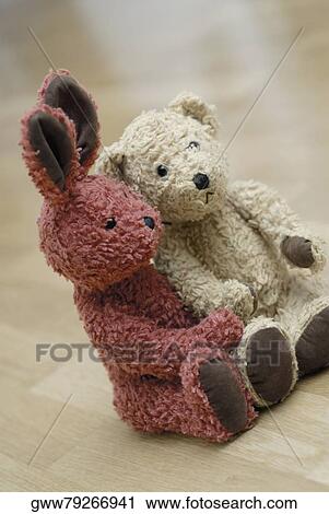 Close-up of two teddy bears View Large Photo Image Stock Image - Close-up of two teddy bears. Fotosearch