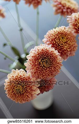 High angle view of flowers in a vase View Large Photo Image Stock Image - High angle view of flowers in a vase. Fotosearch