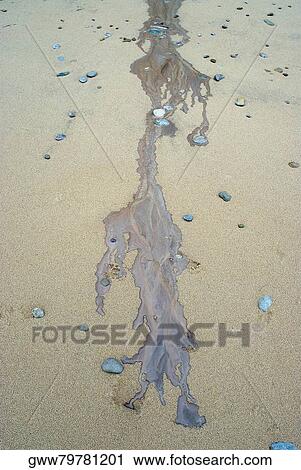 High angle view of water flowing on sand View Large Photo Image Stock Image - High angle view of water flowing on sand. Fotosearch