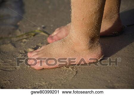Stock Image - Low section view of a person standing on the beach. Fotosearch