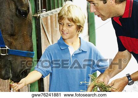 Mid adult man with his son feeding grass to a horse View Large Photo Image Stock Image - Mid adult man with his son feeding grass to a horse. Fotosearch
