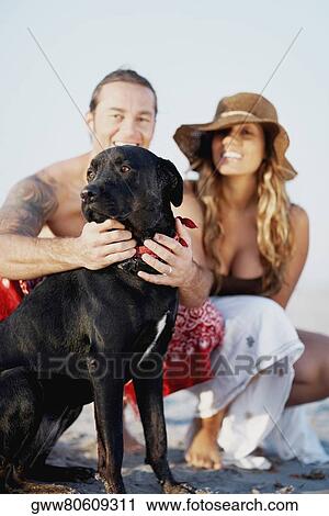 Portrait of a mid adult man stroking a dog with a young woman beside him on the beach View Large Photo Image Stock Image - Portrait of a mid adult man stroking a dog with a young woman beside him on the beach. Fotosearch