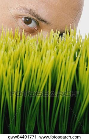Portrait of a young man peeking over wheatgrass View Large Photo Image Stock Image - Portrait of a young man peeking over wheatgrass. Fotosearch