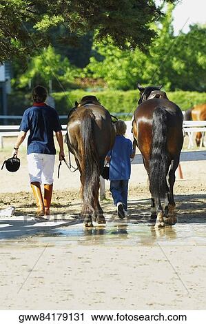 Rear view of a boy with his father walking with two horses View Large Photo Image Stock Image - Rear view of a boy with his father walking with two horses. Fotosearch