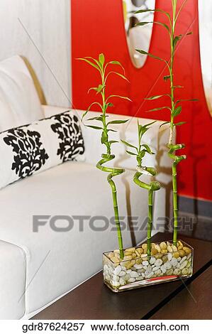 Bamboo stalks on a table View Large Photo Image Stock Photo - Bamboo stalks on a table. Fotosearch