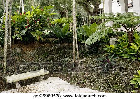 Bench in a front yard of a house View Large Photo Image Stock Photo - Bench in a front yard of a house. Fotosearch