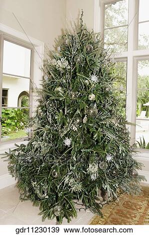 Christmas tree in a living room View Large Photo Image Stock Photo - Christmas tree in a living room. Fotosearch