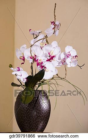 Close-up of a flower pot View Large Photo Image Stock Photograph - Close-up of a flower pot. Fotosearch