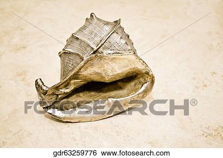 Close-up of a metallic shell View Large Photo Image Stock Photograph - Close-up of a metallic shell. Fotosearch