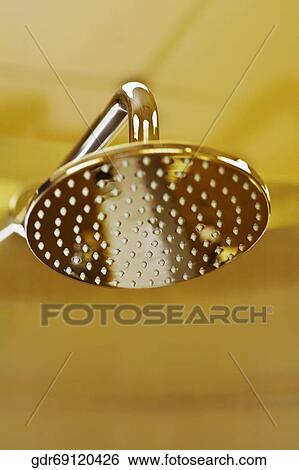 Close-up of a shower head View Large Photo Image Stock Photograph - Close-up of a shower head. Fotosearch