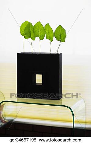 Close-up of a vase on a table View Large Photo Image Stock Photography - Close-up of a vase on a table. Fotosearch