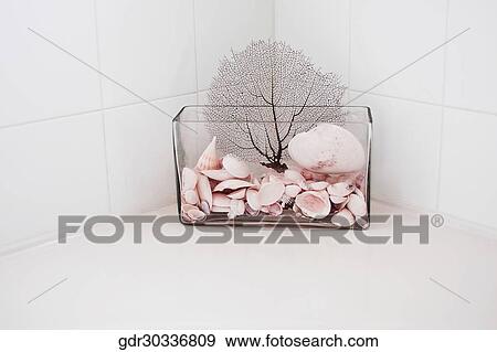 Close-up of an aquarium View Large Photo Image Stock Photo - Close-up of an aquarium. Fotosearch
