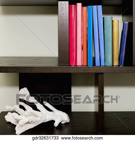 Close-up of books on a shelf View Large Photo Image Stock Image - Close-up of books on a shelf. Fotosearch