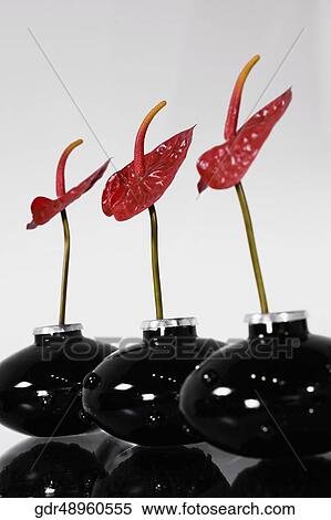 Close-up of three vases View Large Photo Image Stock Photography - Close-up of three vases. Fotosearch