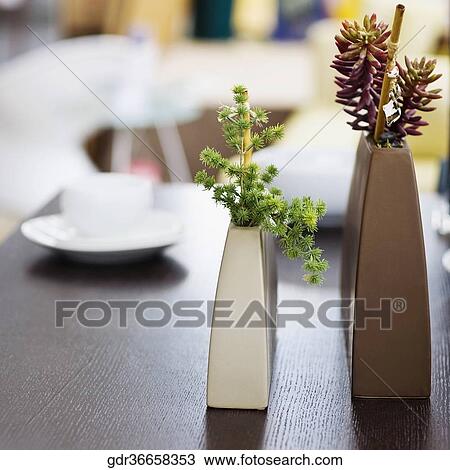 Stock Image - Close-up of two flower pots. Fotosearch