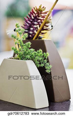 Close-up of two flower pots View Large Photo Image Stock Image - Close-up of two flower pots. Fotosearch