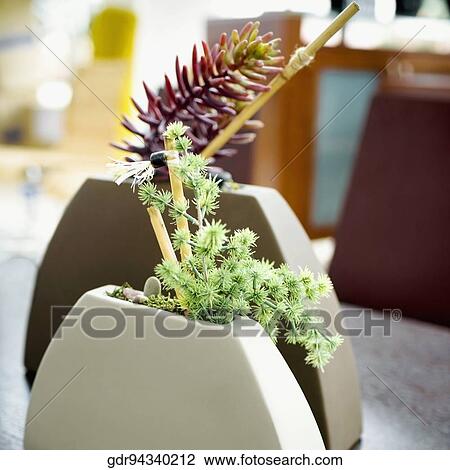 Stock Image - Close-up of two flower pots. Fotosearch