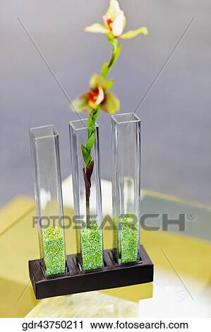 Close-up of vases on a table View Large Photo Image Stock Image - Close-up of vases on a table. Fotosearch