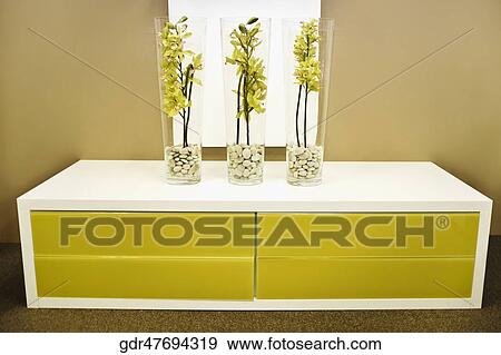 Decorative plants on a chest View Large Photo Image Stock Photo - Decorative plants on a chest. Fotosearch