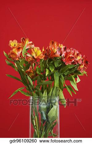 Flowers in a vase View Large Photo Image Stock Image - Flowers in a vase. Fotosearch