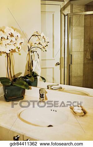 Interiors of a bathroom View Large Photo Image Stock Image - Interiors of a bathroom. Fotosearch