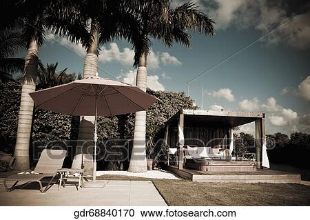 Lounge chair and a patio umbrella in front of palm trees View Large Photo Image Stock Image - Lounge chair and a patio umbrella in front of palm trees. Fotosearch