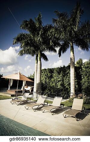 Lounge chairs at the poolside View Large Photo Image Stock Image - Lounge chairs at the poolside. Fotosearch