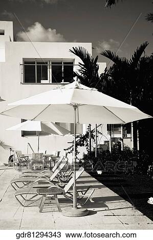 Lounge chairs in a row View Large Photo Image Stock Image - Lounge chairs in a row. Fotosearch