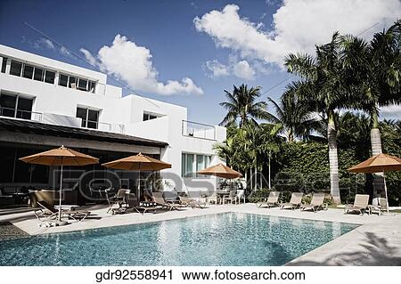 Lounge chairs with patio umbrellas at the poolside View Large Photo Image Stock Image - Lounge chairs with patio umbrellas at the poolside. Fotosearch