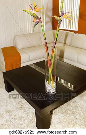 Lucky bamboo on a table in a living room View Large Photo Image Stock Photography - Lucky bamboo on a table in a living room. Fotosearch