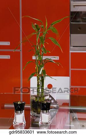 Lucky bamboo with two salt shakers on a table View Large Photo Image Stock Image - Lucky bamboo with two salt shakers on a table. Fotosearch