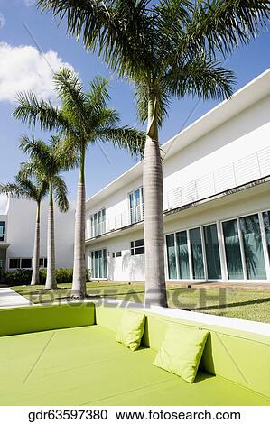 Palm tree in front of a building View Large Photo Image Stock Image - Palm tree in front of a building. Fotosearch
