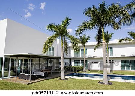 Palm tree in front of a building View Large Photo Image Stock Image - Palm tree in front of a building. Fotosearch