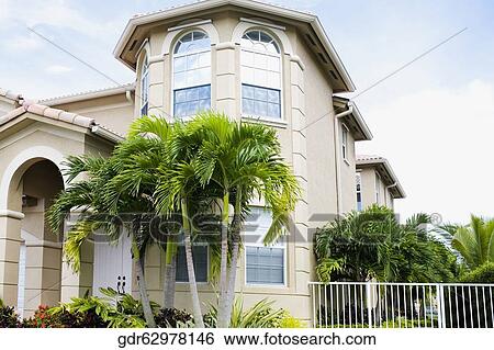 Palm tree in front of a building View Large Photo Image Stock Photograph - Palm tree in front of a building. Fotosearch