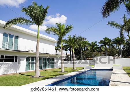 Palm trees along a swimming pool View Large Photo Image Stock Image - Palm trees along a swimming pool. Fotosearch